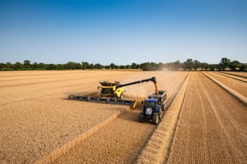 Cosechadora New Holland CR11 en campo trillando