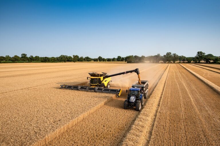 Cosechadora New Holland CR11 en campo trillando