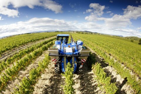 Conducción de la vendimiadora de la serie Braud