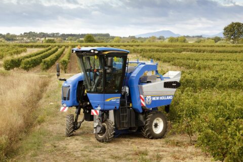 Vendimiadora Braud y la gestión de los controles