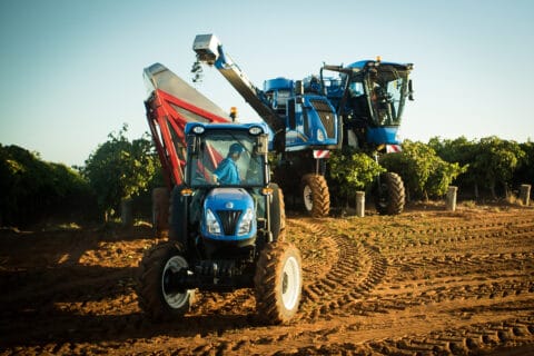 Vendimiadora de New Holland