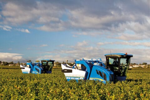 Vendimiadoras Braud de New Holland